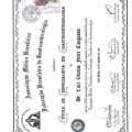 Ampliar imagem: certificate 2