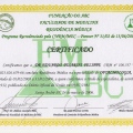 Ampliar imagem: certificate 4