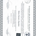 Ampliar imagem: certificate 5