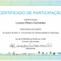 Ampliar imagem: certificate 13