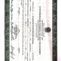 Ampliar imagem: certificate 2