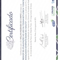 Ampliar imagem: certificate 4