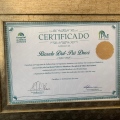 Ampliar imagem: certificate 1