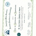 Ampliar imagem: certificate 1