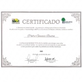 Ampliar imagem: certificate 32