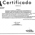 Ampliar imagem: certificate 11