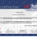 Ampliar imagem: certificate 8