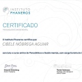 Ampliar imagem: certificate 3
