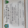 Ampliar imagem: certificate 3
