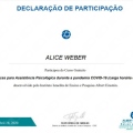 Ampliar imagem: certificate 6