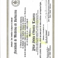 Ampliar imagem: certificate 4