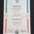Ampliar imagem: certificate 3