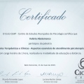 Ampliar imagem: certificate 9