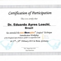 Ampliar imagem: certificate 5