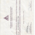 Ampliar imagem: certificate 3