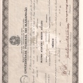 Ampliar imagem: certificate 1