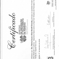 Ampliar imagem: certificate 20