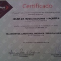 Ampliar imagem: certificate 13
