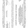 Ampliar imagem: certificate 4
