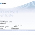 Ampliar imagem: certificate 4