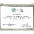 Ampliar imagem: certificate 3