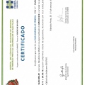 Ampliar imagem: certificate 2