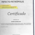 Ampliar imagem: certificate 10