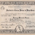 Ampliar imagem: certificate 4
