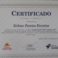 Ampliar imagem: certificate 3