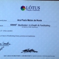 Ampliar imagem: certificate 3
