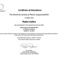 Ampliar imagem: certificate 14