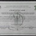 Ampliar imagem: certificate 2