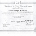 Ampliar imagem: certificate 2