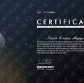Ampliar imagem: certificate 7