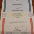 Ampliar imagem: certificate 1