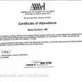 Ampliar imagem: certificate 10