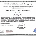 Ampliar imagem: certificate 5