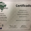 Ampliar imagem: certificate 3