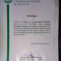 Ampliar imagem: certificate 11