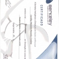 Ampliar imagem: certificate 11
