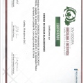 Ampliar imagem: certificate 3