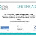 Ampliar imagem: certificate 19