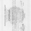 Ampliar imagem: certificate 3