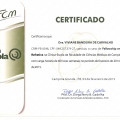 Ampliar imagem: certificate 4