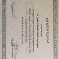 Ampliar imagem: certificate 9