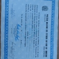 Ampliar imagem: certificate 5