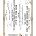 Ampliar imagem: certificate 1
