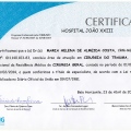 Ampliar imagem: certificate 3
