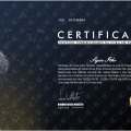 Ampliar imagem: certificate 5