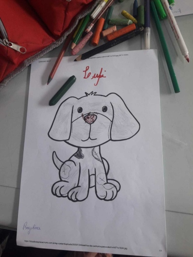 Renata Cristina De Andrade Bicudo Bicudo-11